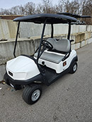 2 Passenger Golf Car Rental