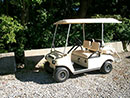 4 Passenger Golf Car Rental