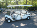 6 Passenger Golf Car Rental