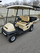 Golf Car with Truck Bed Rental