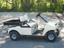 Golf Car with Truck Bed Rental