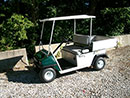 Turf I/Truck Bed Utility Golf Car Rental